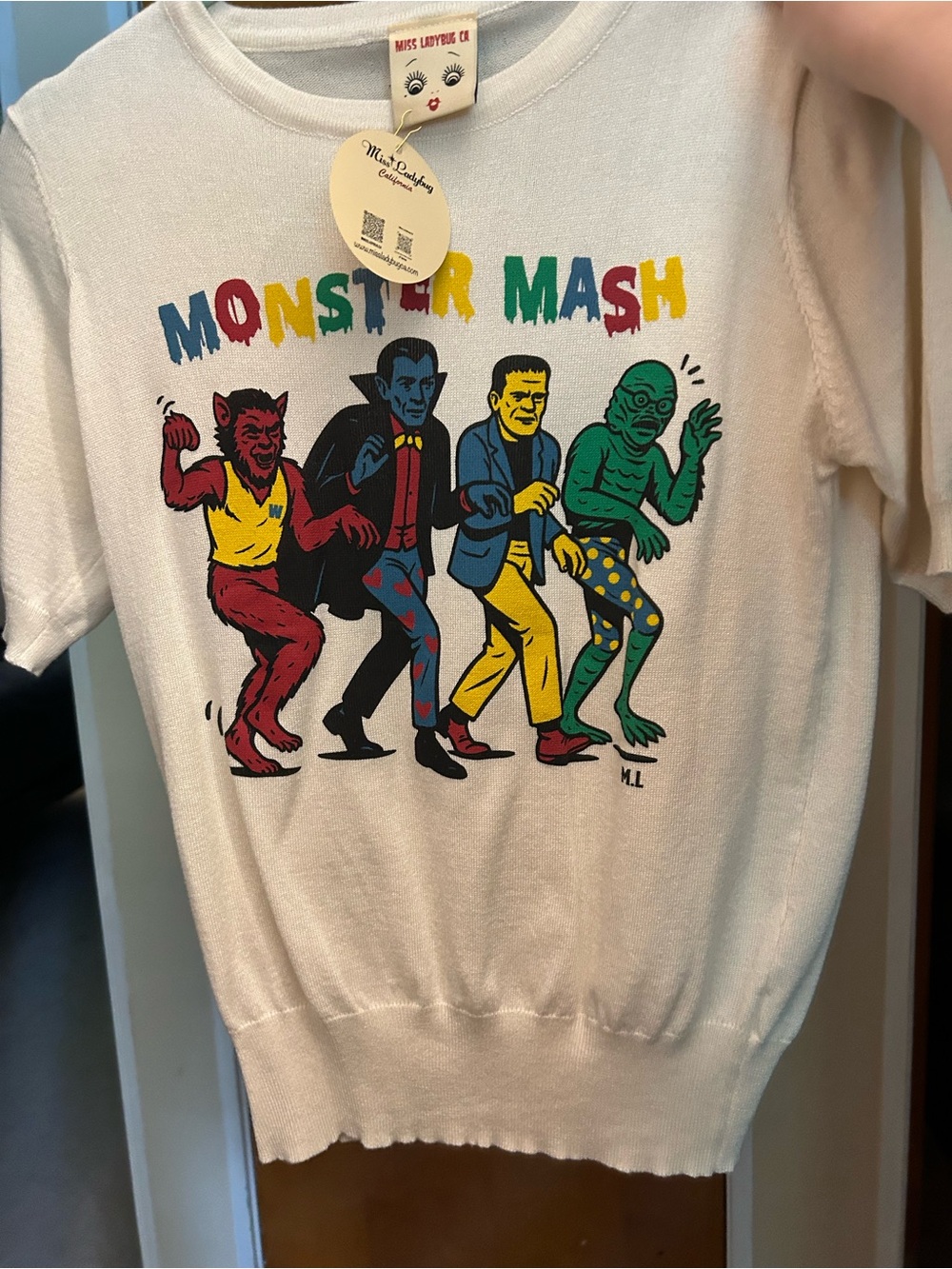 Miss ladybug monster mash sweater L NWT